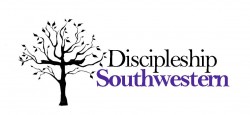 DS logo