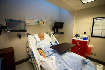 WHN Simulation Center 2